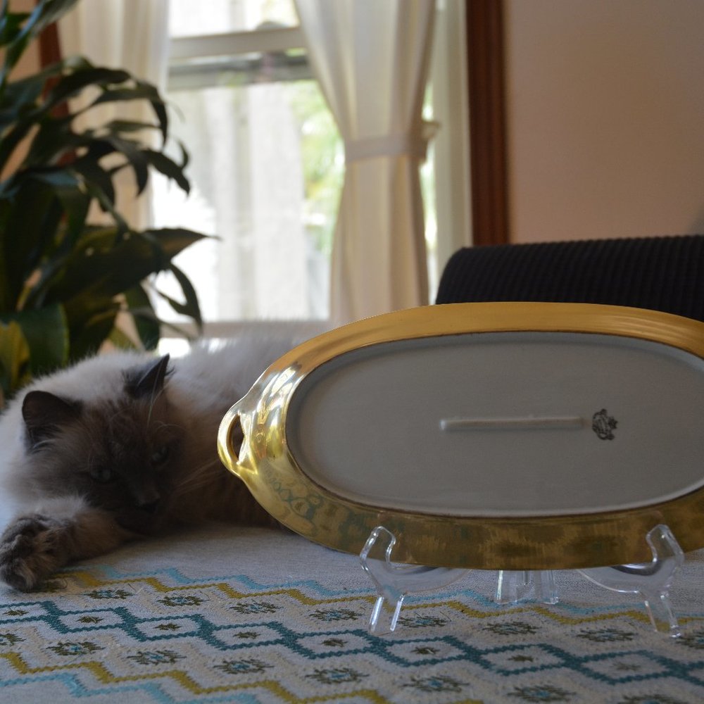 Meet your Posher, Mary